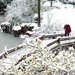 瑞金市好玩的地方